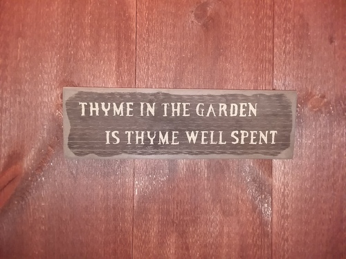 Thyme in the Garden