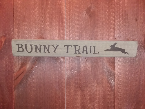 Bunny Trail (bunny)