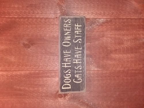 Dogs have owners...