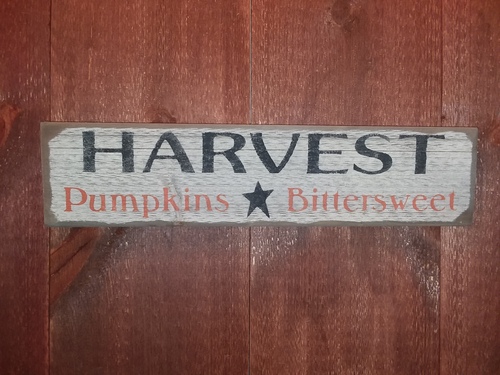 Harvest Pumpkins Bittersweet