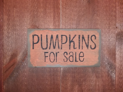 Pumpkins for sale (orange)