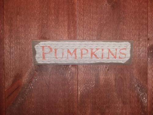 Pumpkins 15x4 White