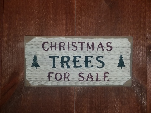 Christmas Trees for sale