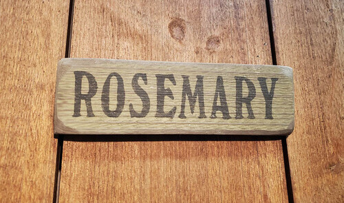 Rosemary