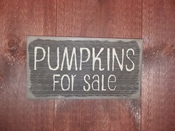 Pumpkins for sale (brown)