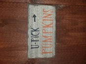 U-Pick Pumpkins