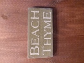 Beach Thyme