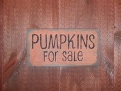 Pumpkins for sale (orange)