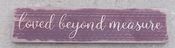 Love Beyond Measure