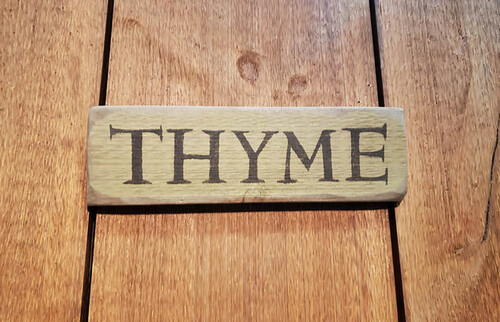 Thyme